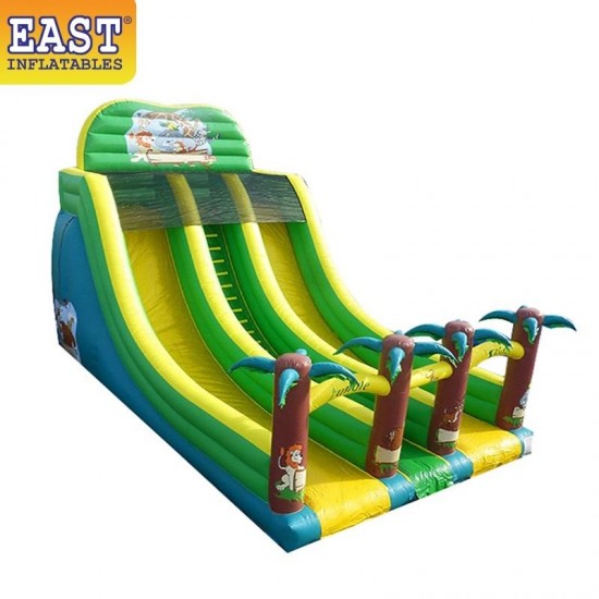 Inflatable Jungle Double Line Slide