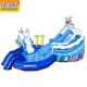 Dolphin Inflatable Water Park