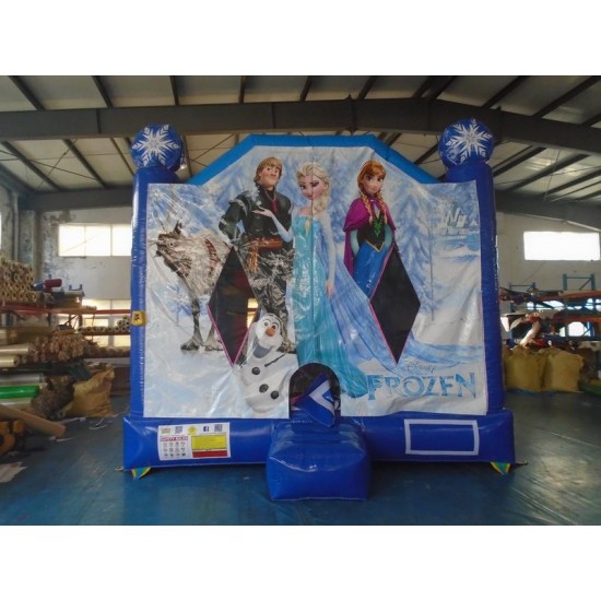 Frozen Bounce House